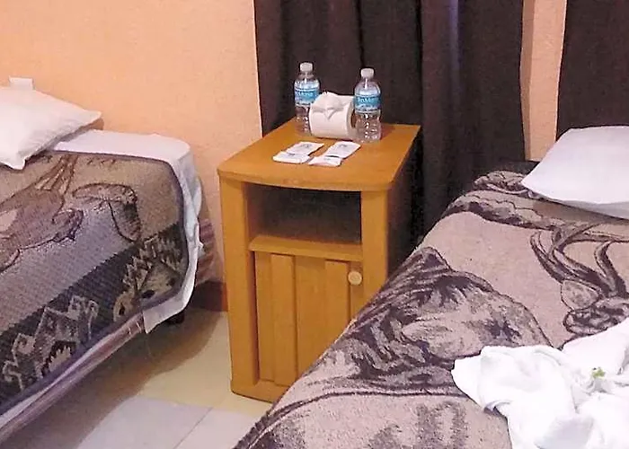 Hotel Patria 3*